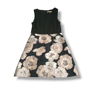 Hutch | Gorgeous Black/Beige Floral Jacquard Cocktail A-Line Dress (SIZE 4)